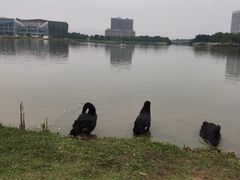 -琅岐红光湖公园