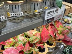 -鹿岛生活(熙地港店)