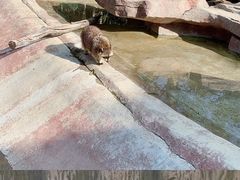 -泉州海丝野生动物世界