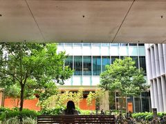 -香港大学