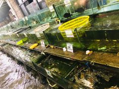 水产区-钱大妈海鲜饭店(保利林语店)