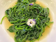 五年花雕烧菠菜-106餐厅(山水文园店)