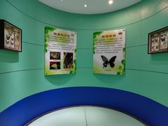 -上海昆虫博物馆
