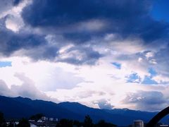 -喵屿·大理花园猫咖