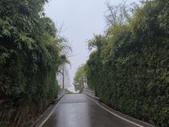 -洋湖国家湿地公园