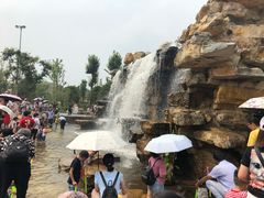 -枫香湖儿童公园