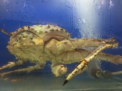 -雅憩花园餐厅