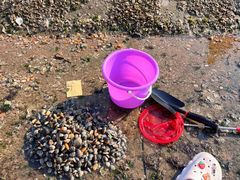 -巧克力渔家.小船海鲜胶东菜(万平口店)