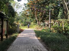 -中国科学院西双版纳热带植物园