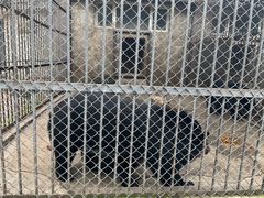 -哈尔滨北方森林动物园