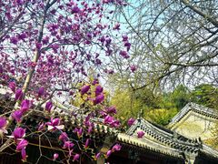-潭柘寺景区