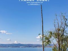 -洱海月湿地公园