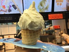 -野人先生现做冰淇淋(西安赛格店)
