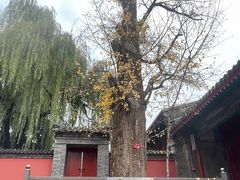-承恩寺