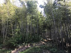 -巨石山景区
