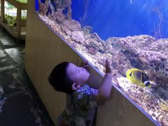 -嘉兴海底世界