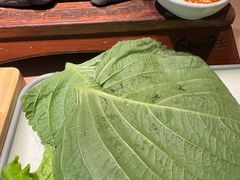 -将军牛排·尔滨地标朝鲜族美食(总店)