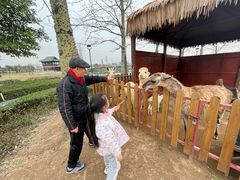 -王借岗森林公园