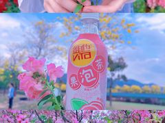 -天适樱花悠乐园