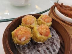 -黄金商业广场(东门东路店)