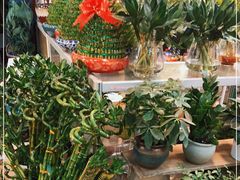 -双季花艺园艺市场(浦东店)