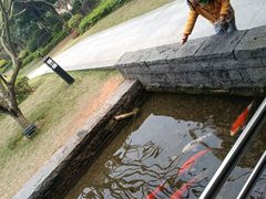 -南宁荔园维景国际酒店·荔园中餐厅