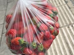 -五里多农博广场