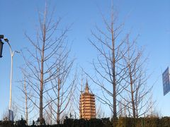 -西海子公园