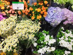 -双季花艺园艺市场(浦东店)