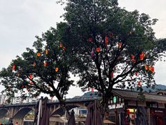 -恩阳古镇