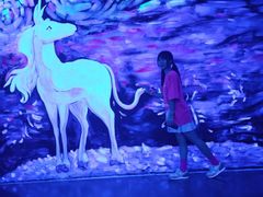 -深圳独角兽星空艺术馆