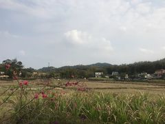 -红山村