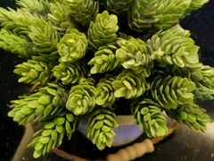 -快乐之星KTV(东沙路店)