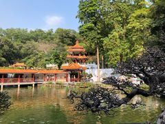 -深圳仙湖植物园
