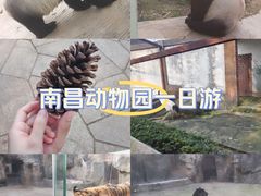 -南昌动物园