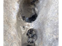 -石钟山