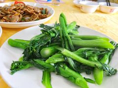蒜蓉菜心-蚝专家(北滘店)