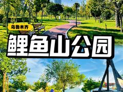 -鲤鱼山公园