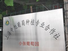 -马陆小张葡萄园农家乐