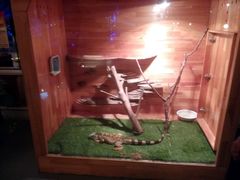 -北国之春国宴(乌兰察布店)