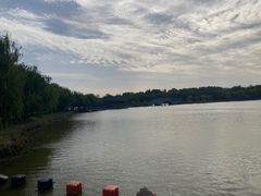 -塘沽森林公园