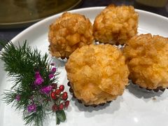 -丁老爷子苏香圆