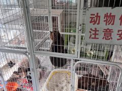 -双新垂钓园