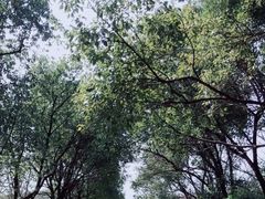 -艾溪湖湿地公园