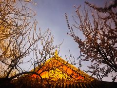 -桃花堤公园