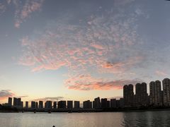 -五缘湾湿地公园