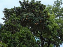 -常熟路(地铁站)