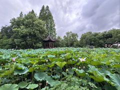 -乌镇望津里精品酒店