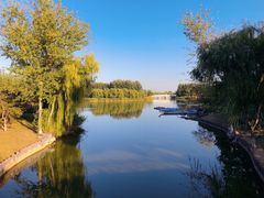 -大兴滨河森林公园