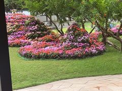 -怡咖啡·自助餐·西安香格里拉